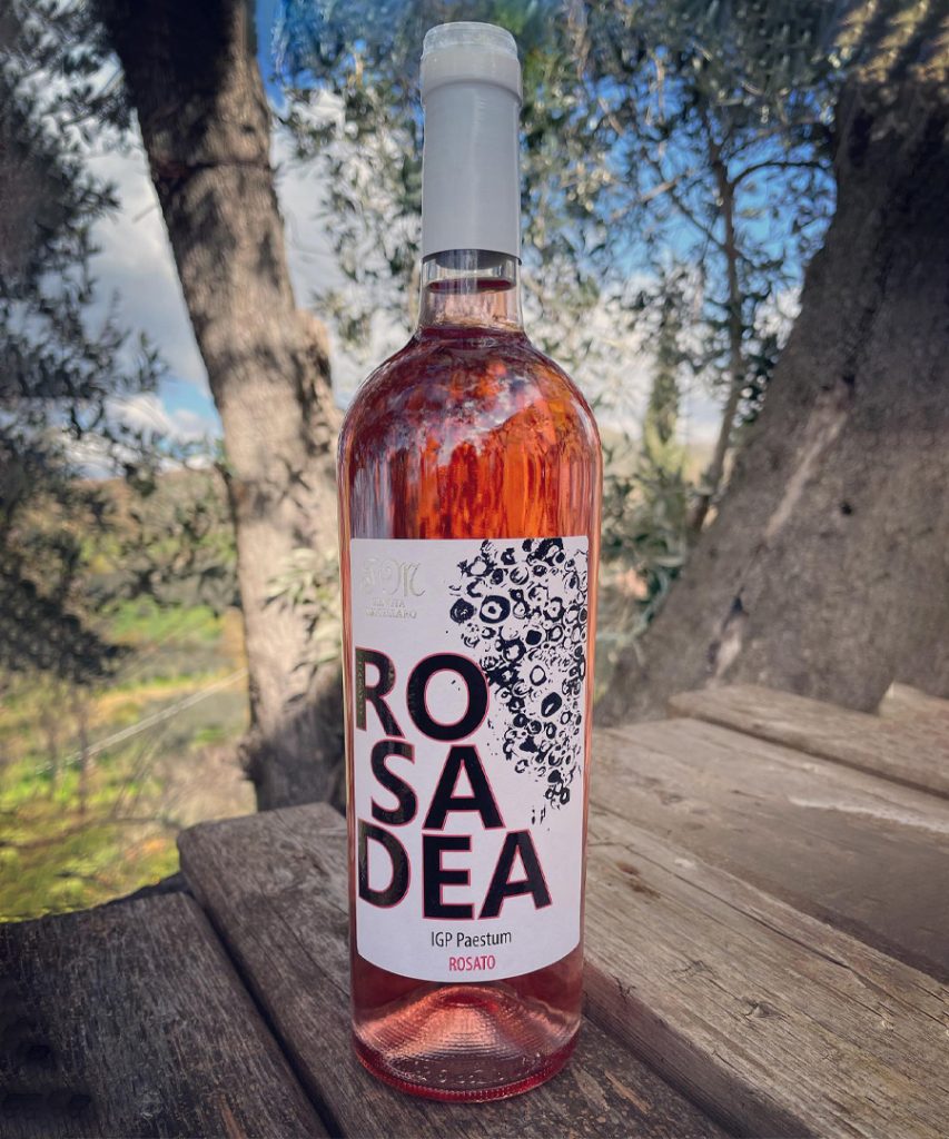 ROSADEA Rosato di Montepulciano BLOG